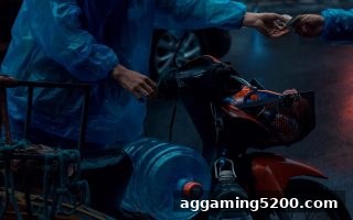 免费旋转游戏玩家必知：TRC20充值到账全流程追踪技巧