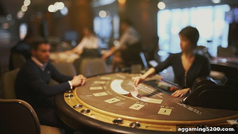 策略博弈的艺术：免费旋转游戏助你解锁真人互动胜率密码
