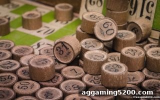 免费旋转游戏：数字彩票选号策略与红利活动全解析
