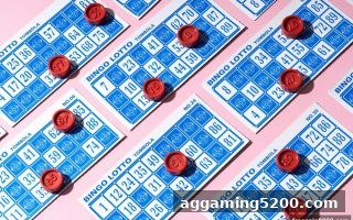 彩票选号策略与免费旋转游戏：理性参与的正确打开方式