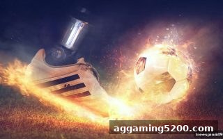免费旋转游戏：龙虎与和值玩法全攻略，从入门到理性参与