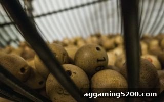 让球盘单双玩法入门：免费旋转游戏中的奇偶博弈