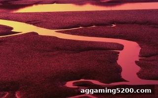 彩票选号策略的灵活迭代与银行卡充值优化：免费旋转游戏实用指南