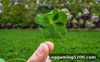 经典案例深度剖析：免费旋转游戏助你解锁概率与心理博弈的真相