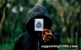免费旋转游戏飞禽走兽：ICM模型带你透视对手，赢在概率之外