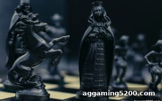 免费旋转游戏助你玩转牛牛：规则精讲与实操智慧