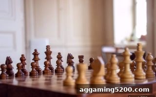 免费旋转游戏深度解析：电子围棋与国际象棋的思维博弈