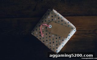 免费旋转游戏VIP会员返点结算全攻略：专属回馈机制深度解析