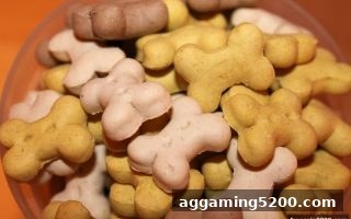 银行卡充值存款与签约福利详解：免费旋转游戏让您充值更超值