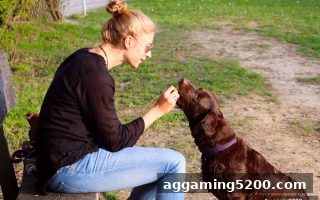 马耳他牌照下的每日返水领取秘籍：免费旋转游戏带你玩转福利