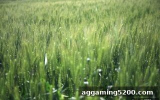 FunkyGames VIP体系全攻略：免费旋转游戏带你解锁独家优惠机制