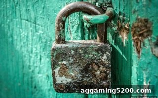 免费旋转游戏带你玩转飞禽走兽与骰宝：规则、信誉与安全全攻略