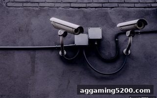 从龙虎斗防骗到避险指南——免费旋转游戏带来的启发