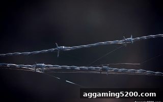 推牌九深度攻略：免费旋转游戏助你掌握规则与规避骗局