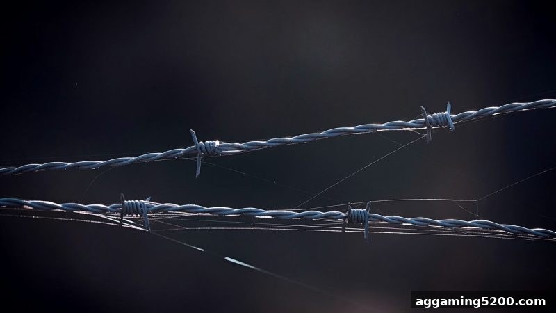 推牌九深度攻略：免费旋转游戏助你掌握规则与规避骗局