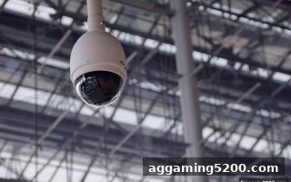 免费旋转游戏视角：扑克桌上纠纷类型与维权全攻略