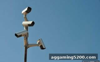 免费旋转游戏玩家必看：平台协议与维权实战指南