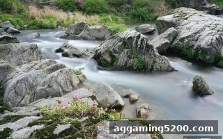 免费旋转游戏视角下的PokerStars Dota2赛事即时数据全解析