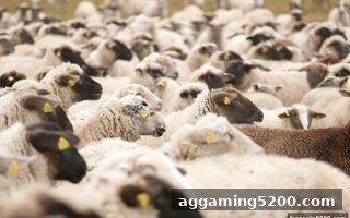 免费旋转游戏与足球赛事直播：PG平台全新融合体验